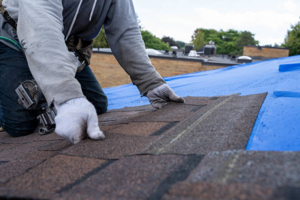 Best Flat Roof Repair Services  in Bright, IN