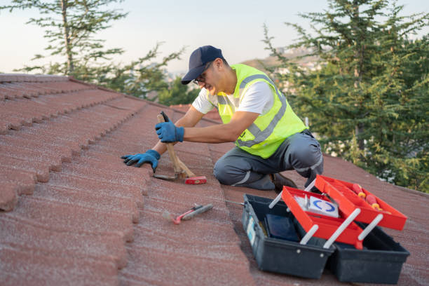 Best Metal Roofing Contractor  in Bright, IN