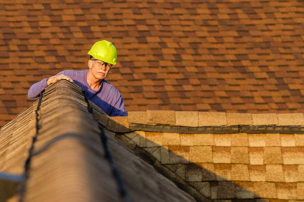 Best Shingle Roofing Installation  in Bright, IN